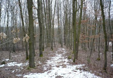 Randonnée A pied Libušín - [Ž] Kamenné Žehrovice (žst) - Libušín - Photo