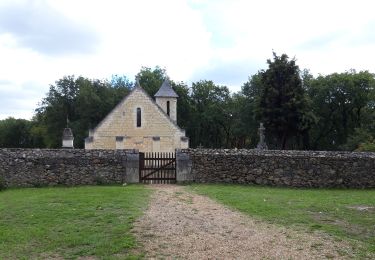 Tocht Stappen Gennes-Val-de-Loire - St Pierre en Vaux  - Photo