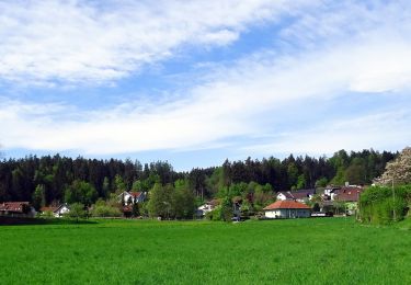 Tocht Te voet Onbekend - Görtschach-Karnburg - Photo