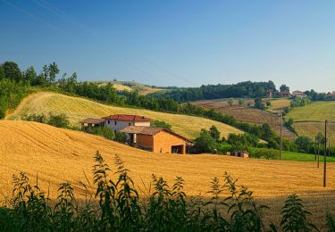 Tocht Te voet Colli Verdi - Anello Monte Barbera - Photo