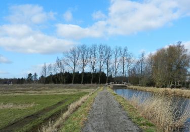 Tour Zu Fuß Lokeren - Liniewegelroute - Photo