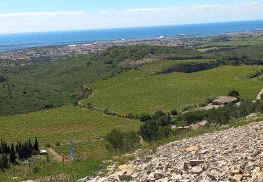 Trail Nordic walking Balaruc-le-Vieux - la Guardiole - Photo