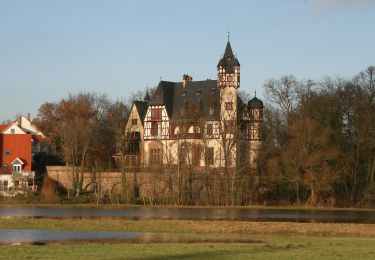 Tour Zu Fuß Schöneck - Schöneck Landschaftsweg (Halbmarathonroute) - Photo