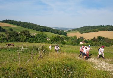 Trail Walking Véron - La Grange aux Doyens 240720 - Photo