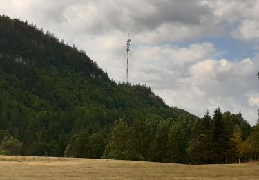 Percorso Marcia Foncine-le-Haut - GTJ jour 12 - Photo