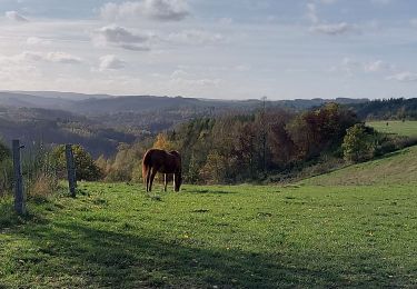 Tour Wandern Hohenfels - Engreux 021122 - Photo
