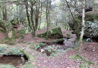 Trail Walking Moustoir-Ac - PR_56_Moustoir-Ac_AA_01_Au-Fil-De-L-Eau_Circuit1b_20231014 - Photo