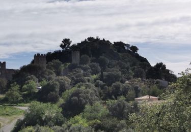 Percorso Marcia Hyères - Vieil Hyères - Photo