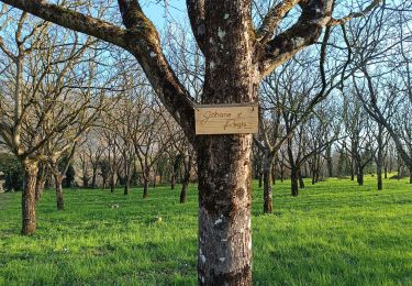 Tocht Mountainbike Vinay - Combe Chapon-fond de Beaulieu  - Photo