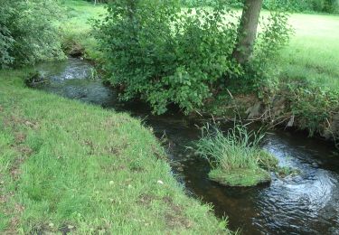 Tour Zu Fuß Biebergemünd - Spessartspuren - Bieber - Photo