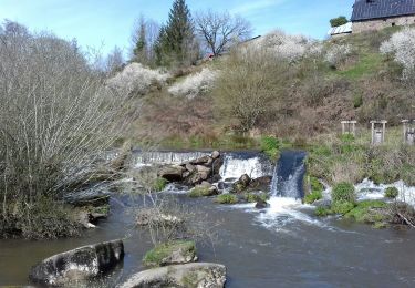 Randonnée Marche Brecé - Brécé - Photo