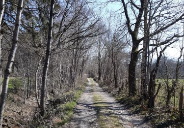 Trail Walking Spa - spa . warfaaz . malchamps . thier des stats . spa - Photo
