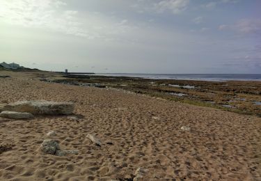 Tour Wandern Saint-Pierre-d'Oléron - oleron - Photo