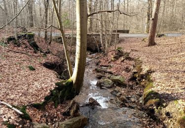 Randonnée Marche Spa - La promenade de Meyerbeer (6,6km)  - Photo