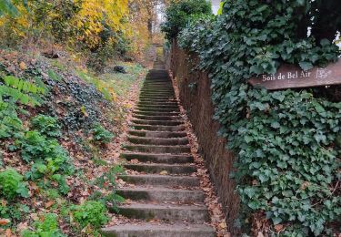 Tocht Stappen Igny - Igny  - Photo