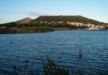 Randonnée A pied Pouzzoles - Lago d'Averno - Photo