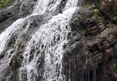 Trail Walking Le Châtelard - Cascade du Pissieu - Photo