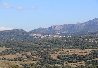 Percorso A piedi Sant'Antonio di Gallura - (SI Z04) Sant’Antonio di Gallura - Calangianus - Photo