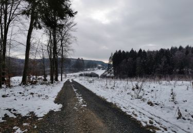 Trail Walking Florenville - 10-Les Epioux boucle7km500 vers cabane de chasse - Photo