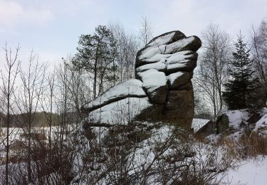 Excursión A pie Gemeinde Arbesbach - Die Kraft des Wassers 12 - Photo