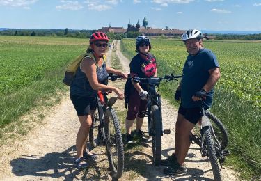 Tour Elektrofahrrad Sennheim - Oelenberg  - Photo