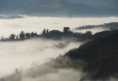 Trail On foot Borgo Tossignano - IT-709 - Photo