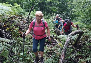 Trail Walking Capvern - capvern G3 fait 2022 - Photo