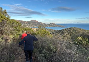 Trail Walking Saint-Raphaël - Lacs esterel et tour Dramont - Photo
