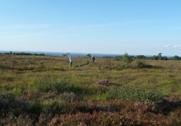 Tocht Stappen Spa - WandArdNat 11: Spa La Sauvenière Fagne de Malchamps (PVDB) - Photo