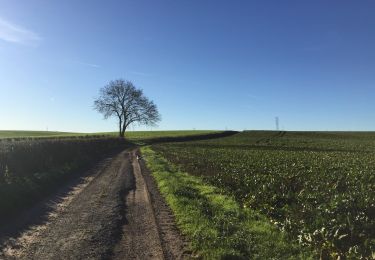 Percorso Marcia Pont-à-Celles - En passant de la Meuse à l'Escaut - Photo