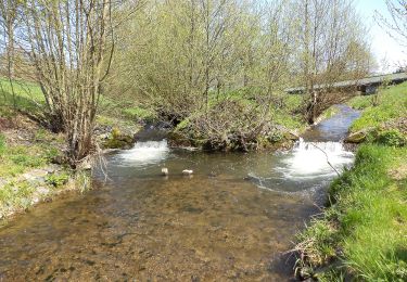 Tocht Te voet Schlüchtern - Schlüchtern Wanderweg SLÜ2 - Photo