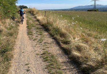 Excursión Bici de montaña Francheville - GTML - Photo