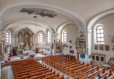 Tour Zu Fuß Großarl - Ellmautal Sonnseitweg-Schattseitweg - Photo