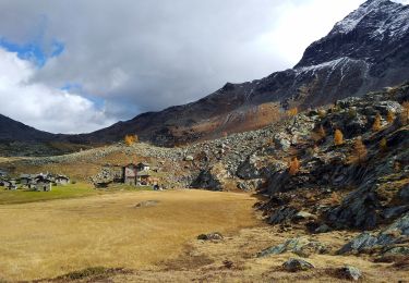 Excursión A pie Lanzada - (SI D26N) Rifugio Marinelli Bombardieri - Rifugio Cristina all'Alpe Prabello - Photo