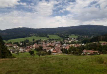 Randonnée Marche Ranrupt - Ranrupt autour du Climont - Photo