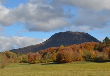Trail Walking Ceyssat - Ceyssat_Montmeyre_Pierre - Photo