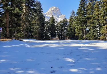 Tour Wandern Pellafol - tête de la garde - Photo