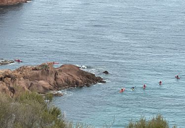 Trail Walking Saint-Raphaël - Trayas- Monges - Maure Viel - Mont St Martin  - Photo