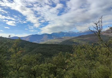 Trail Walking Prunet-et-Belpuig - BOULE d'AMONT - La TRINITE - Photo