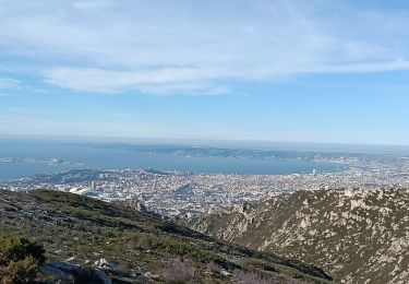 Trail Walking Marseille - La Barasse Mont Carpiagne - Photo