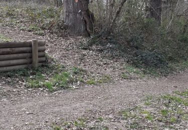 Randonnée Marche Panissières - Panissieres ESsertines en donzy Terre de Tisseurs - Photo