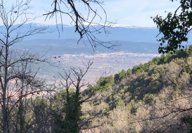 Tour Wandern Pignans - Pignans - Notre Dame des anges - Photo