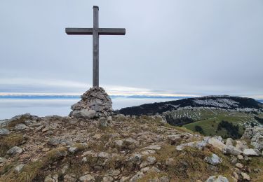 Percorso Marcia Jougne - aiguilles de Baulmes  et Suchet  - Photo