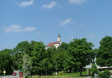 Tocht Te voet Bodnegg - Rundwanderweg 3 der Gemeinde Bodnegg - Photo