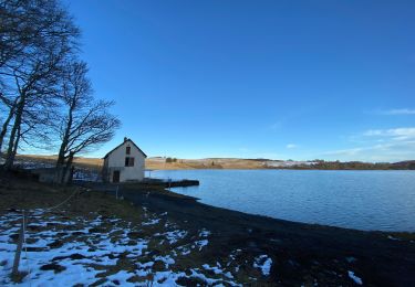 Trail Walking Picherande - Lac Chauvet - Photo