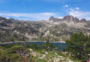 Trail Walking Bagnères-de-Bigorre - G2 articles lac de grezillard - Photo