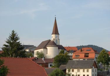 Excursión A pie Neustift im Mühlkreis - Seenweg - Photo