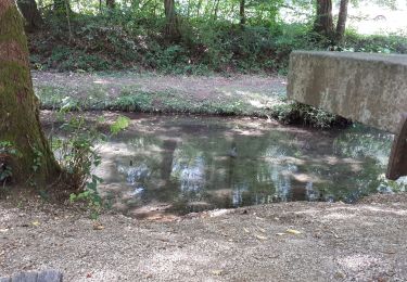 Tour Wandern Wirten - Rabais - Photo