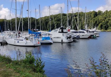 Tocht Stappen La Vicomté-sur-Rance - circuit de l'éperon barré. La Vicomté sur Rance  - Photo