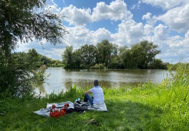 Excursión Senderismo Nieurlet - Circuit des marais de Booneghem - Photo